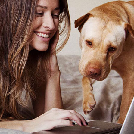 woman and dog looking at computer