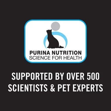PRO PLAN® Kitten Chicken Formula Dry Cat Food