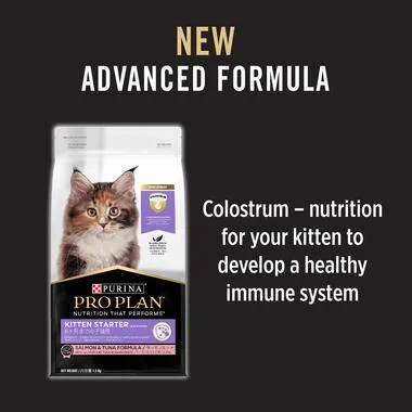 PRO PLAN® Kitten Starter Salmon & Tuna Formula Dry Cat Food 