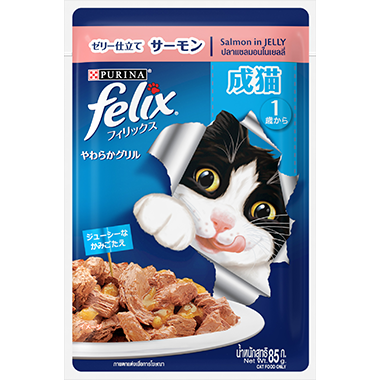 FELIX® ADULT With Salmon in jelly 