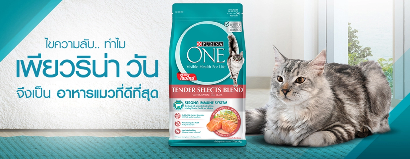 purinaone-secret-nutrition