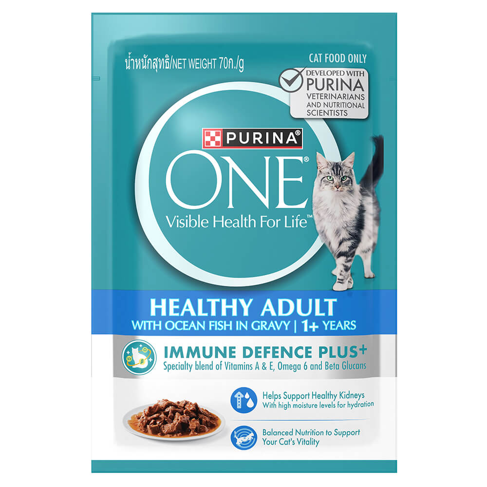 PURINA ONE Healthy Adult1+ with Ocean Fish in Gravy