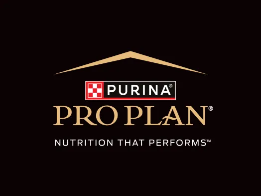 Pro Plan - logo