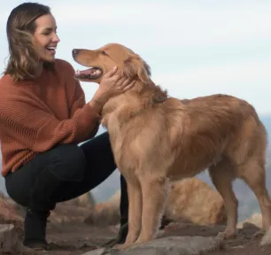 medium-sized-dog-breeds