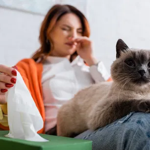 Cat Flu Signs