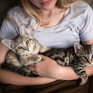 Cat Training Guide