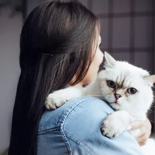 Cause of Cat Vomiting