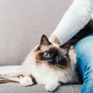 Woman cuddling her cat