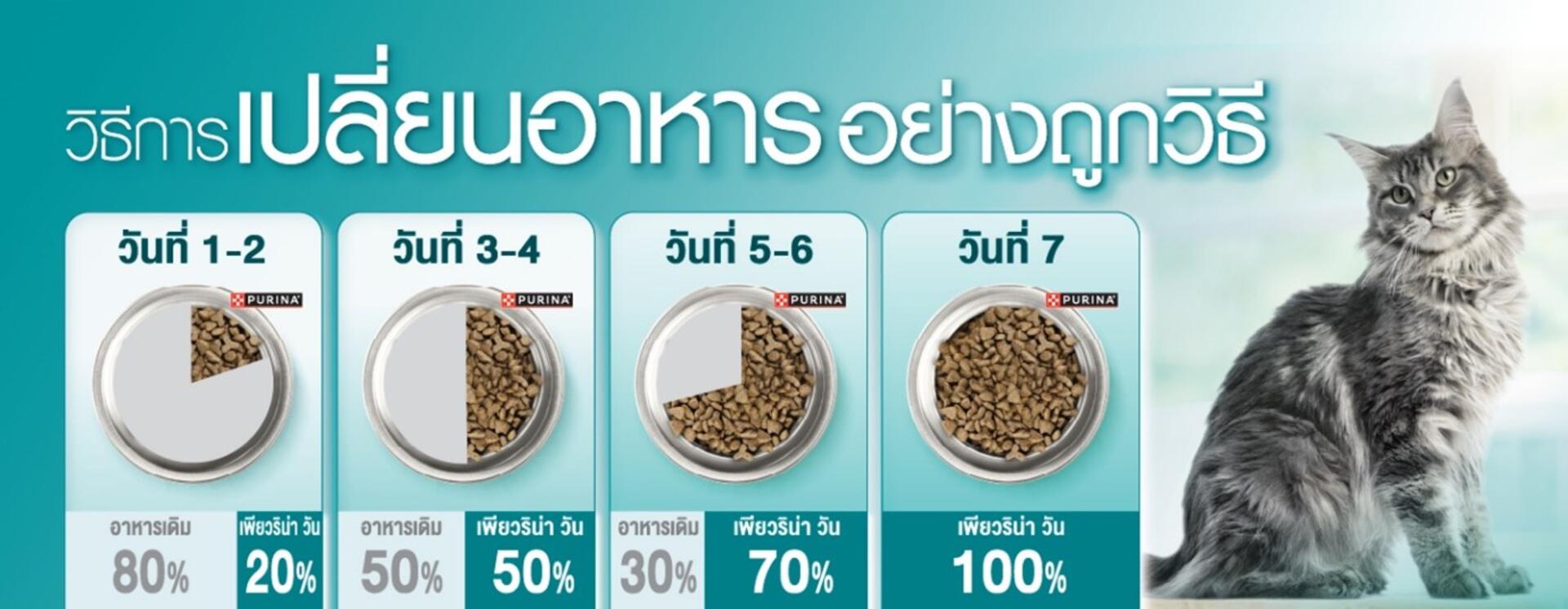 การเปลี่ยนอาหารอย่างถูกวิธี ทำอย่างไร?