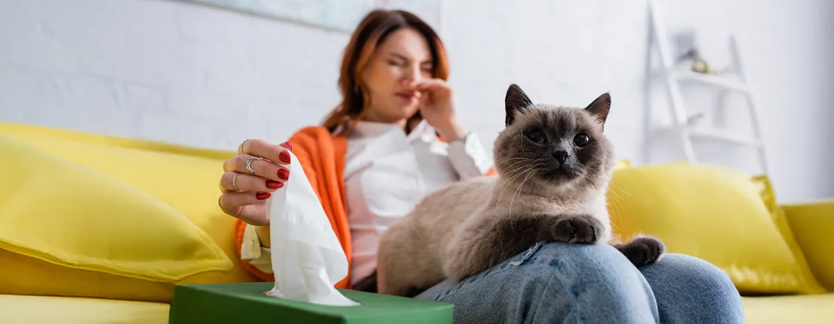 Cat Flu Signs