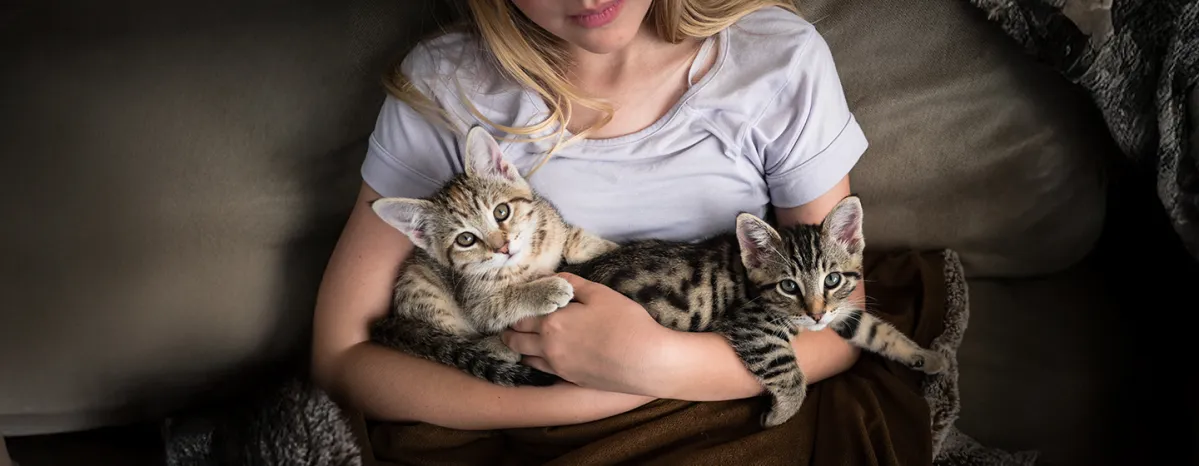 Cat Training Guide