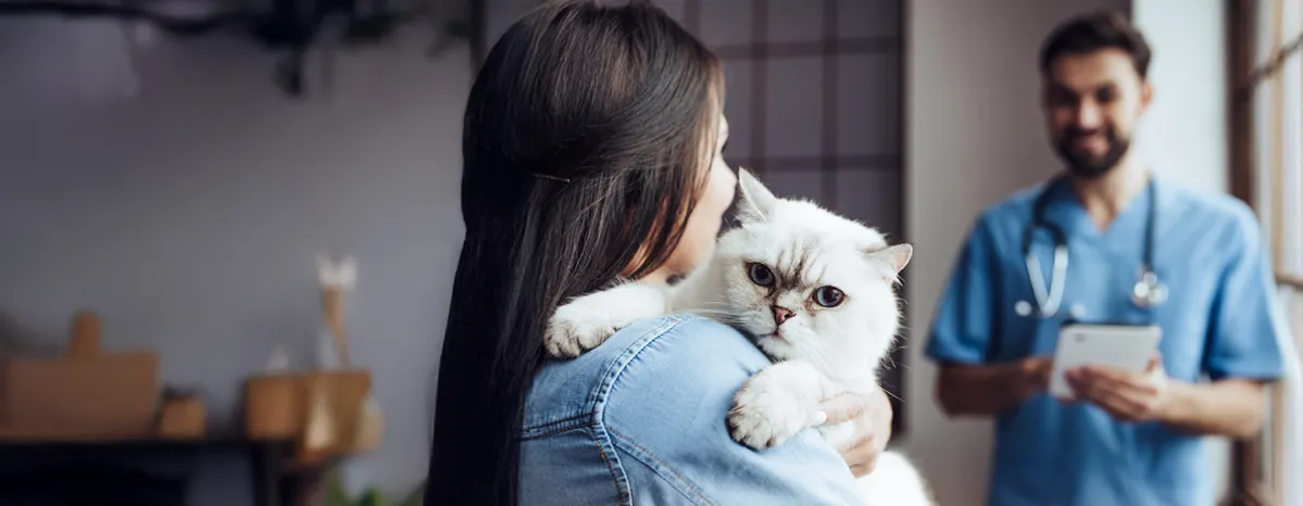 Cause of Cat Vomiting