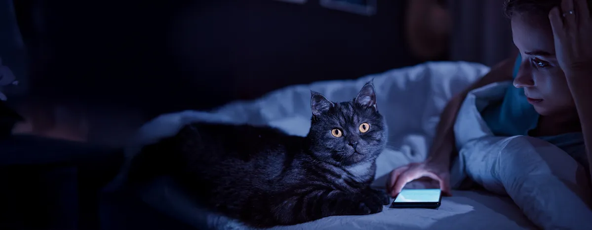 Night Active Cats