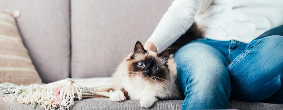 Woman cuddling her cat