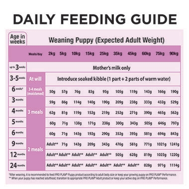 ADULT performance 12kg-07