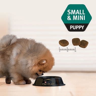 ADULT small & mini 2.5kg-03