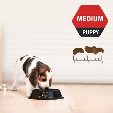Puppy Medium 2.5kg-03