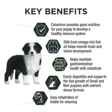 Puppy Medium 2.5kg-07
