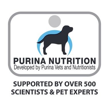 Puppy Medium 2.5kg-11
