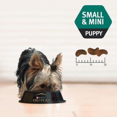 Puppy small & mini 2.5kg-03
