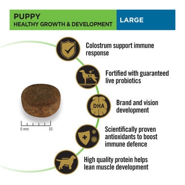 Puppy large 2.5kg-03
