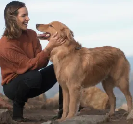 medium-sized-dog-breeds