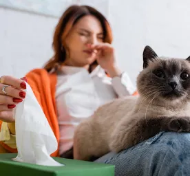 Cat Flu Signs