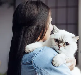Cause of Cat Vomiting