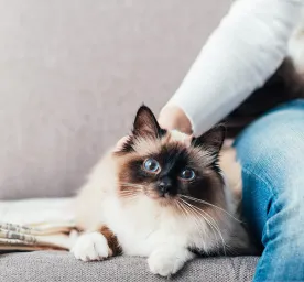 Woman cuddling her cat