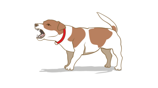 เข้าใจและเรียนรู้พฤติกรรมสุนัขและท่าทางของสุนัข | Purina เข้าใจและเรียนรู้พฤติกรรมสุนัขและท่าทางของสุนัข | Purina