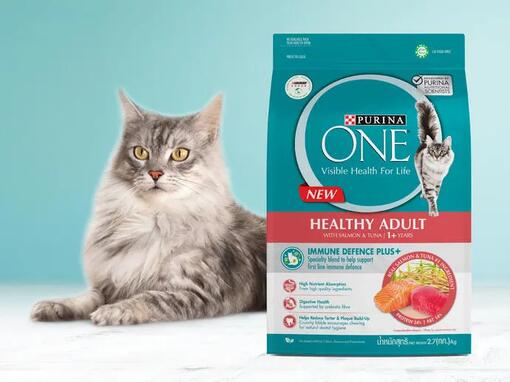 Purina ONE