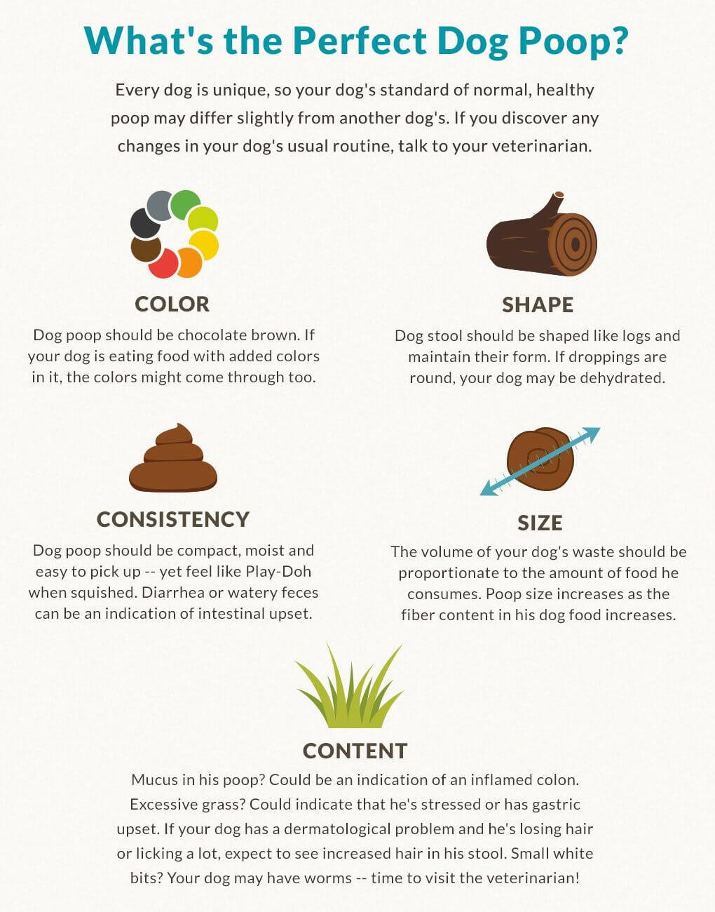 All about dog poop 1 อุจจาระสุนัข