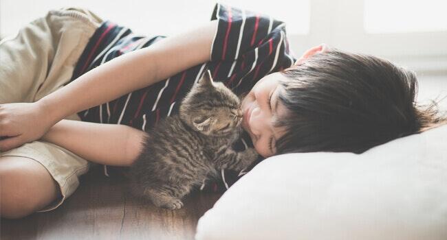 รักแมวต้องรู้ อยากให้แมวอ้อนเราต้องทำยังไง | Purina รักแมวต้องรู้ อยากให้แมวอ้อนเราต้องทำยังไง | Purina
