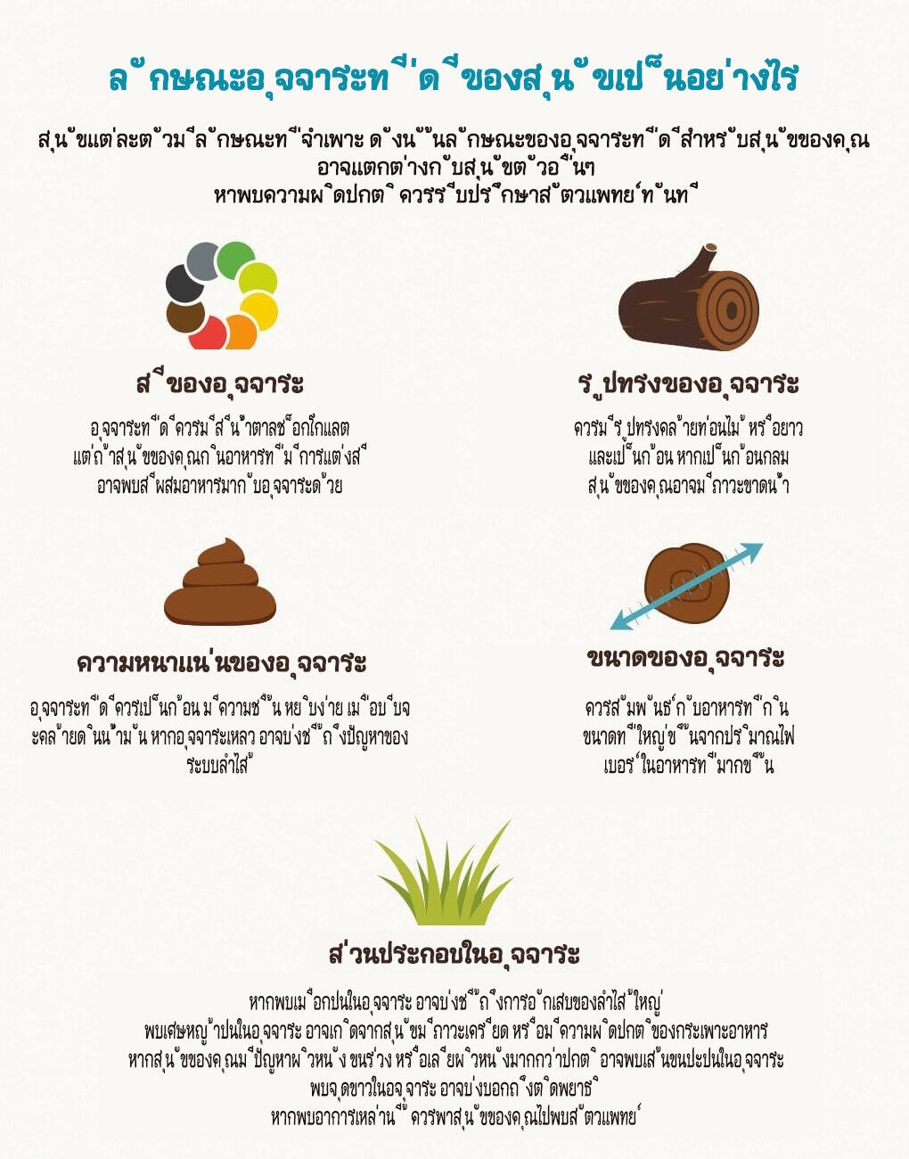 All about dog poop 1 อุจจาระสุนัข