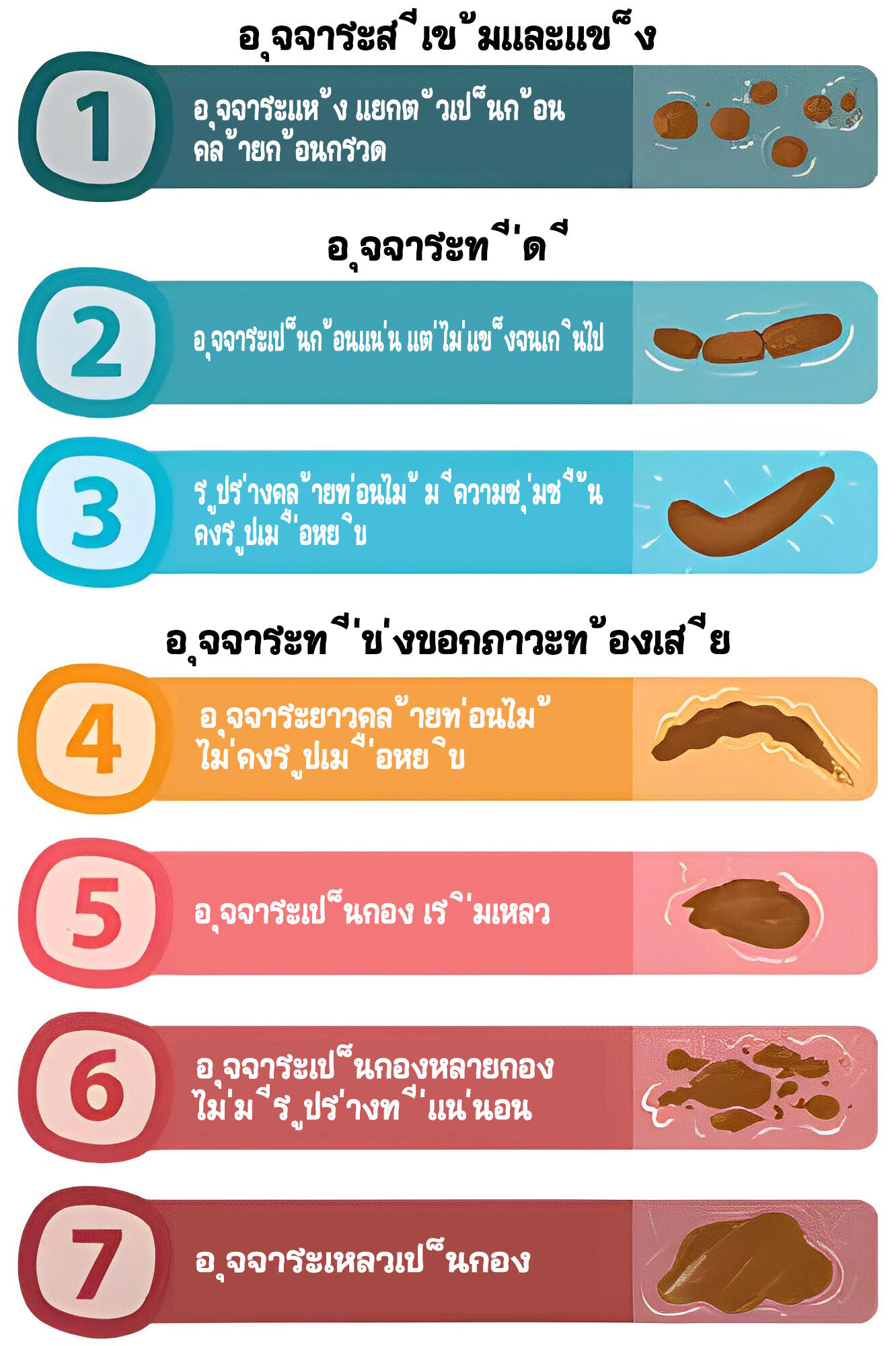 All about dog poop 2 อุจจาระสุนัข
